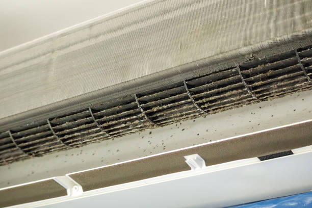 Best Commercial Air Duct Cleaning in Cypress Landing, NC