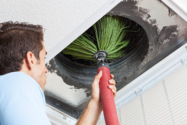 Best Air Duct Sanitization & Disinfection in Cypress Landing, NC